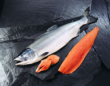 Wild Pink Alaska Salmon Displayed on Rocks