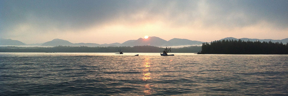 Two boats fishing in front of a setting sun.